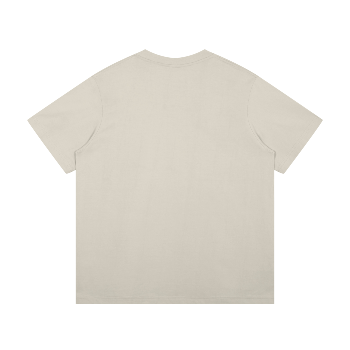 USA SPORTS T
